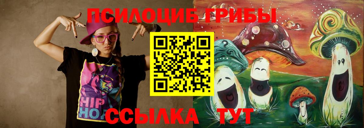 Галлюциногенные грибы прущие грибы Братск